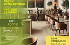 Spatiu ultracentral - trafic pietonal intens - - 1
