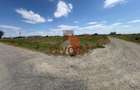 Terenuri in Sacalaz | Investitie | Spatiu comercial | Zona excelenta | - 2