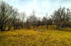 Teren Breaza 2623mp , pot 35% , cut 1,2 conform cert urb.intravilan - 3