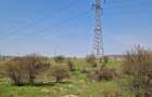 Fermă de vânzare 8 ha – Balș, județul Olt - 10