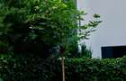 Vila noua moderna, 5 camere, Iancu Nicolae, Jolie Ville Cambridge School - 20