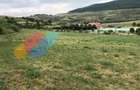 Teren intravilan cu Destinatie Economica, 3000 mp, in Radaia - 2