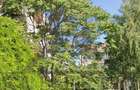 Penthouse cu garaj in Cartierul Herastrau - 4