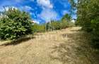 Casă + 1 apartament separat pe teren de 1.949 mp  cu panoramă Chinteni - 28