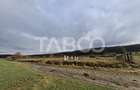 Teren intravilan de vanzare in Rasinari zona Calinis - 890 mp