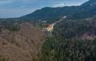 Teren intravilan, 56000 mp, Poiana Brașov - 11