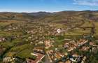 FILM! Casa si anexe, pe domeniu de 6.221mp,  livada pomi fructiferi, Lemnia, Cov - 13