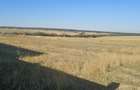 Teren intravilan de vanzare in Cordau , jud. Bihor