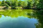 Domeniu de 13.054 mp cu vilă de ~1.000mpc și lac privat Teisori, Bulbucata - 25