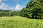 Oportunitate de Investiție | Teren cu Panoramă Montană | Vaideeni – Izvorul Rece - 4