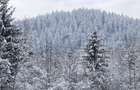 Teren intravilan, 22600mp, zona Manastirea Sucevita - 14