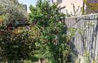 CASA 3 CAMERE SI CURTE - GIULESTI STRADA ARTARULUI - TEREN 296 MP - 5