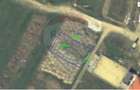 Teren 600mp Oradea / Sanmartin/Padure - 1