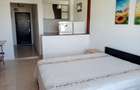 Apartament cu 1 cameră, zona Podu Ros - 2
