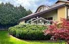 VILA S+P+E+M 7 camere, 1000mp teren, IANCU NICOLAE padure - 1