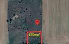 Terenuri Ciorogarla - 500mp -> 7.500mp -> 4 Ha - 9