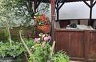 Vand casa 3 camere ARIUSD - 18