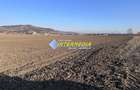 Teren intravilan de vanzare in Sard suprafete 600-800 mp - 5