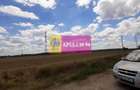 Teren 715mp în Snagov lângă Equestria - 9
