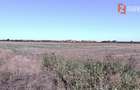 COMISION 0% Teren extravilan 40.000 mp - zona Sanandrei - 2