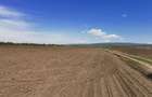 TEREN AGRICOL DE VANZARE - BOD - BRASOV 4,5 HA - 4