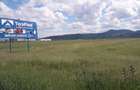 Teren intravilan 8900 mp,Dumbrava Rosiejud Neamt - 8