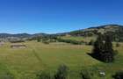 Teren in Bucovina! La Munte! De vanzare! 0727817187 - 7