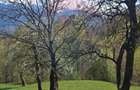 Ocazie! Teren 2885 mp Bran- Predelut / Strada Pe Tarina nr. 70A - 10