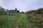 0 % comision, Lot format din 3 parcele, zona Antonio Gaudi-Borhanci - 3