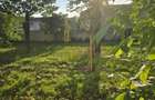 Zona  Favorit -Circumvalatiunii - Apartament 3 Camere  Spatios - Parter Inalt - 8