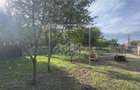 Casa cu teren de 1167 mp, curte mare, Talmaciu - 11