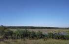 TEREN INTRAVILAN 1950 MP MOARA VLASIEI LA LAC - 3