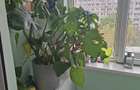 VANZARE 2 CAMERE LUX - 11