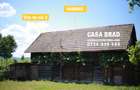 Casa mare cu ~4000mp teren plat, in zona verde, linistita, in orasul Brad, HD - 8