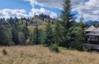 Teren intravilan Piatra Fantanele 17000 mp cu deschidere  DN17