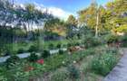 Casă solidă de vânzare 120mp, 1840mp teren la strada principala Paun