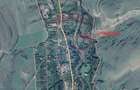 Teren 10.000 mp Calatele – Apuseni, langa rau, ideal investitie turism - 3
