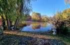 Cea mai frumoasă casă din zona Pipera - Băneasa - 31