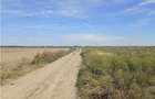 Oportunitate Investitie - Dragomiresti Vale - Zurbaua - A1 - A0 - sos Centura - 7