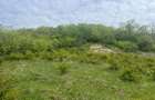 Teren intravilan Corunca – 1000 mp – vedere panoramică 180° + acces pădure – ult - 1