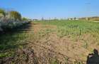 10.100mp TEREN CONSTRUCȚII INTRAVILAN POTIGRAFU, DESCHIDERE 31m direct la DN1 - 10