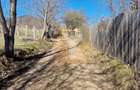 Teren intravilan de 4.000 mp în Bistrița – Alexandru cel Bun - 2