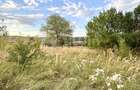 Comision 0% Teren intravilan construibil | 2848mp | Front 17m | Gilau