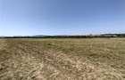 Nicolint, 2 Terenuri Extravilane, Arabil, 1.45 Hectare - 14