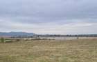 Oază de Natură și Potențial: Teren de 48.100 mp lângă Delta din Carpați - 15