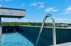 Penthouse cu piscina privata-Erou Iancu Nicolae - 3