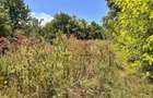 Teren + Casă de Vânzare Bacău, Calea Romanului – 1.850 mp - 5