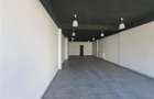 De vanzare spatiu comercial 94 mp zona Alecu Russo - 4