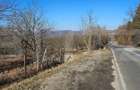 Teren de 30 de ari, Dumitra, 5km de Bistrita - 2