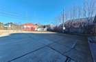 Showroom | 2 x Hale | Teren 1900 mp – inchiriere | vanzare, Bucegi - 10